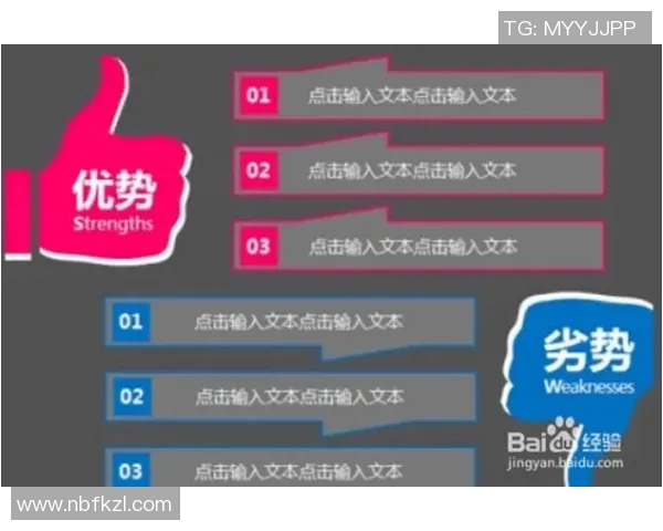 独家解析FPX技术优势与劣势的全面对比分析