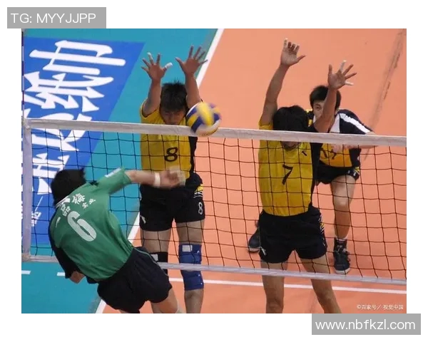 深圳排球队的团队协作精神与战术配合探讨 深圳排球队的团队协作精神与战术配合探讨