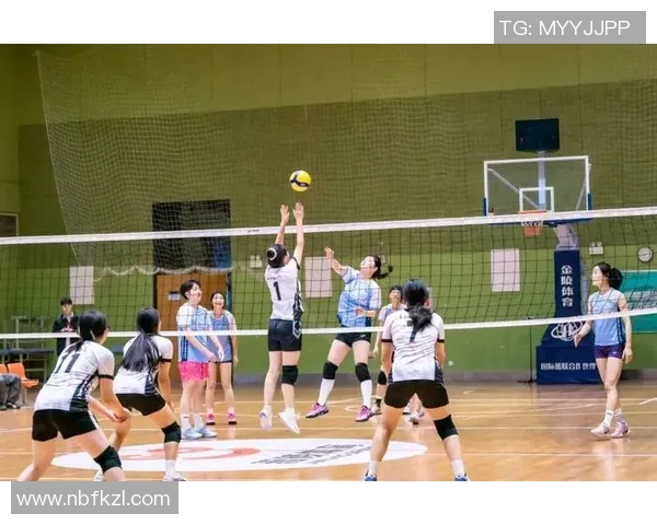 聚焦排球：探讨杭州排球队在速度提升中的训练与战术创新