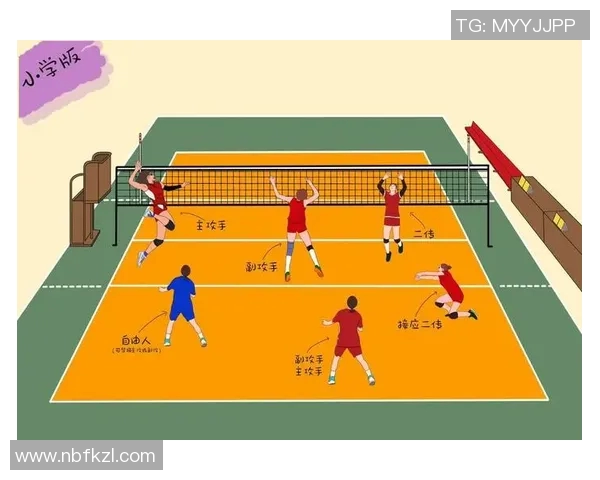 武汉排球队的战术解析与阵地战策略深度剖析