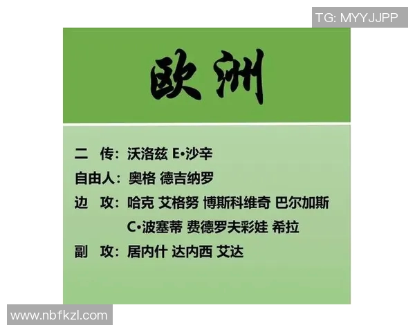 深圳网球队战术解析与对比分析深度剖析球队优势与不足